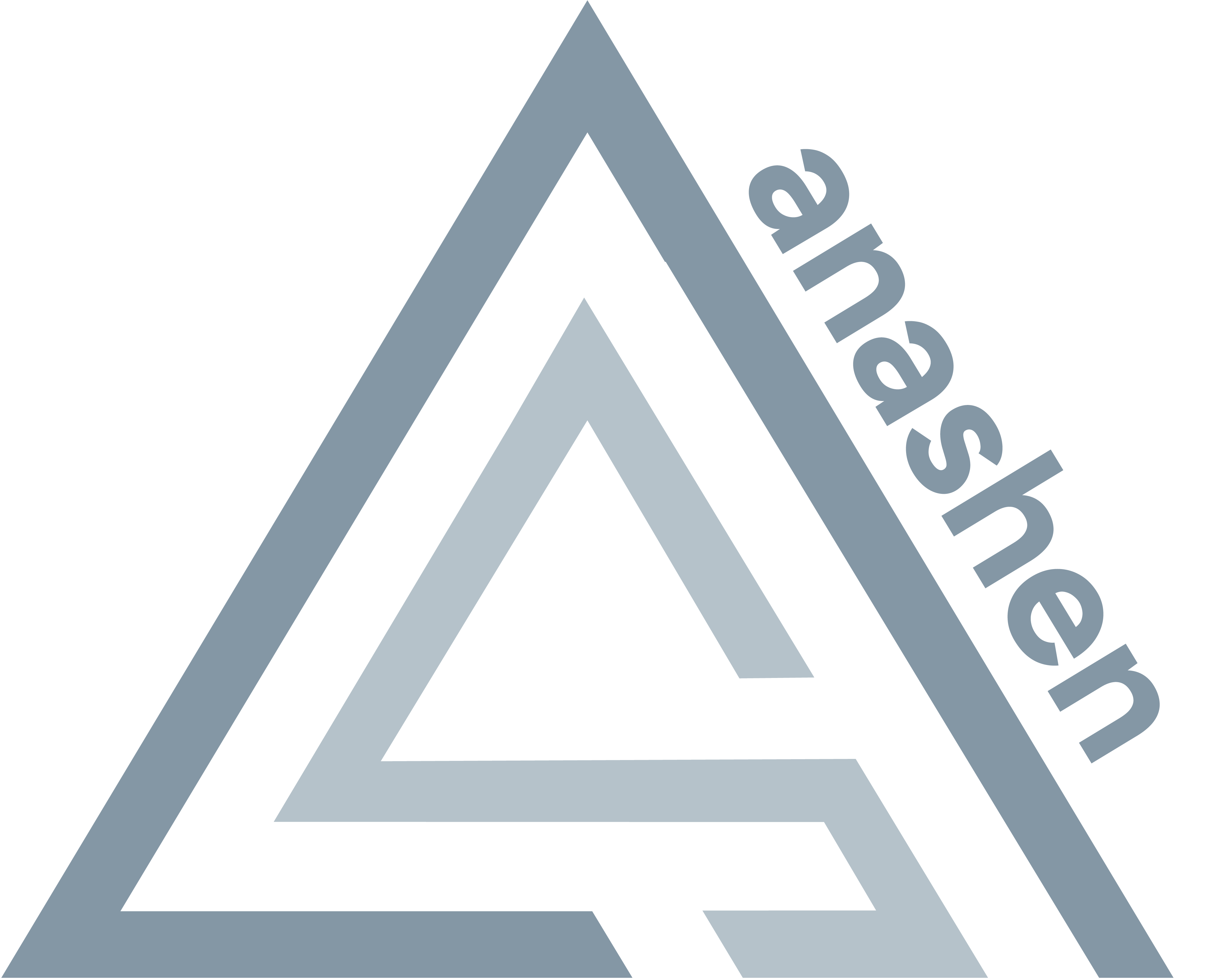 anashen logo in blue